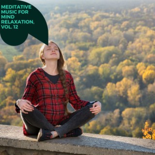 Meditative Music for Mind Relaxation, Vol. 12