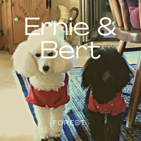 Ernie & Bert | Boomplay Music