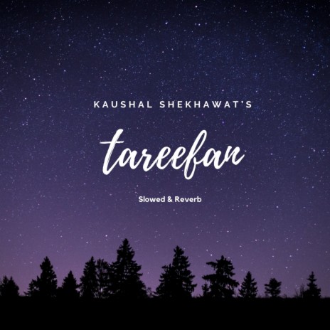 Tareefan (Slowed) | Boomplay Music
