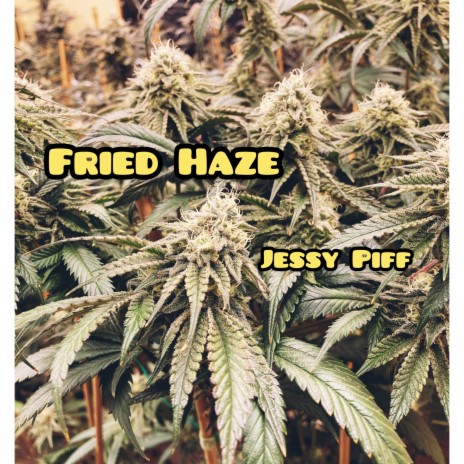 Fried Haze | Boomplay Music