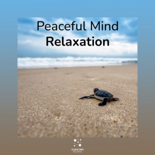 Peaceful Mind Relaxation