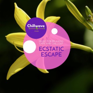 Ecstatic Escape - Music for Relaxing Cafe and Chillout
