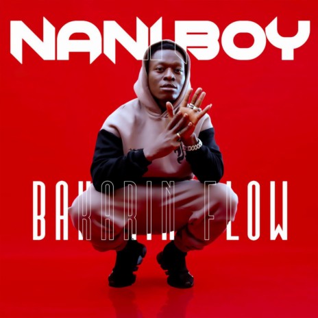 Nani Boy | Boomplay Music