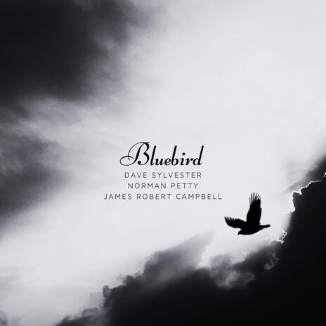 Bluebird | Boomplay Music