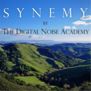 Digital Noise Academy