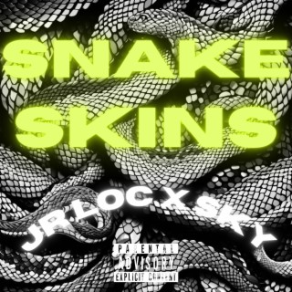 Snake Skins