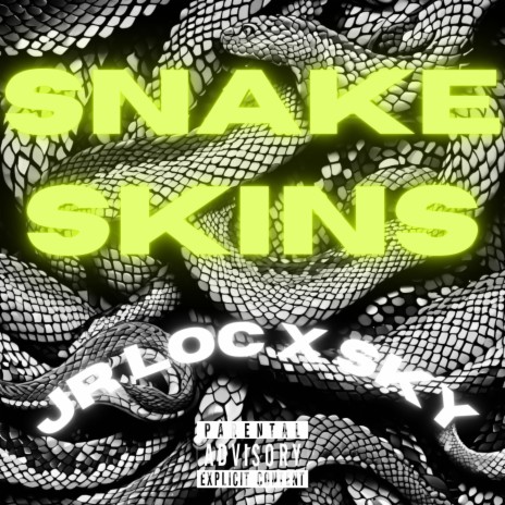 Snake Skins ft. Jr Loc | Boomplay Music