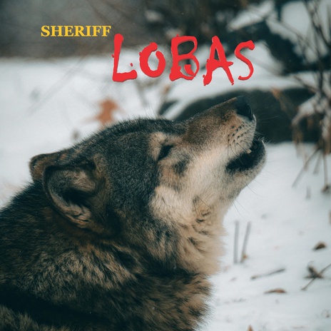 Lobas | Boomplay Music