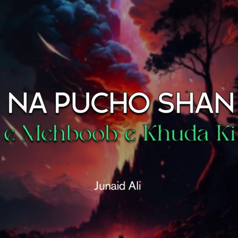 Na Pucho Shan e Mehboob e Khuda Ki | Boomplay Music