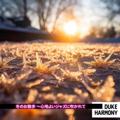 Starry Skies Above Frozen Lake