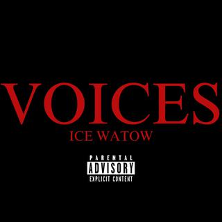 VOiCES lyrics | Boomplay Music