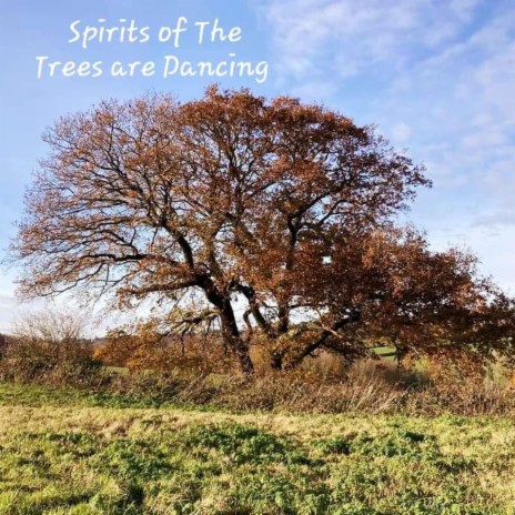 Spirits of the Trees are Dancing | Boomplay Music