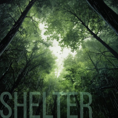 Shelter