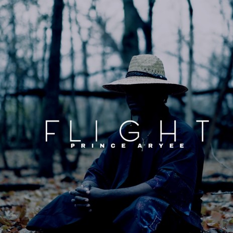 Flight | Boomplay Music