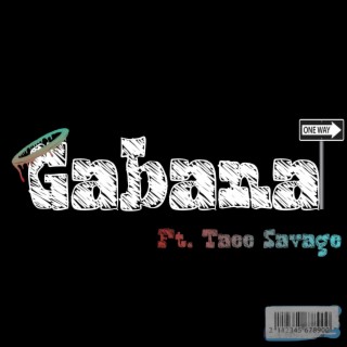 Gabbana