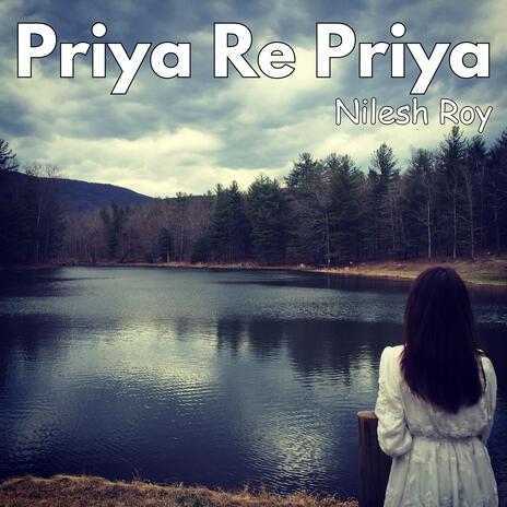 Priya Re Priya | Boomplay Music