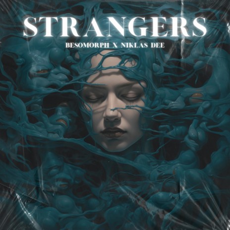 Strangers ft. Niklas Dee & HALUNA | Boomplay Music