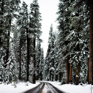 SNOWY ROAD