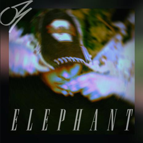 Elephant | Boomplay Music