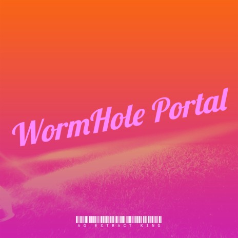 WormHole Portal | Boomplay Music