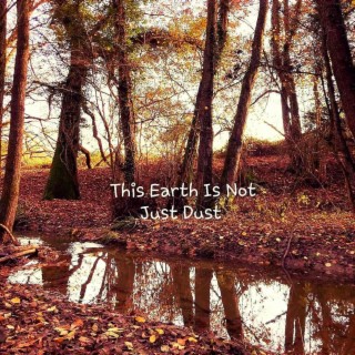 This Earth Is Not Just Dust