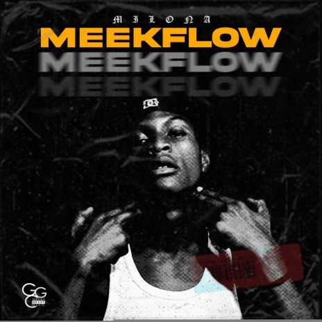 Meek Flow | Boomplay Music