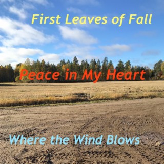 Peace in My Heart lyrics | Boomplay Music