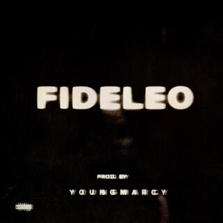 FIDELEO