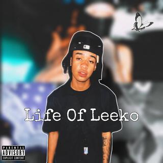 Life of Leeko