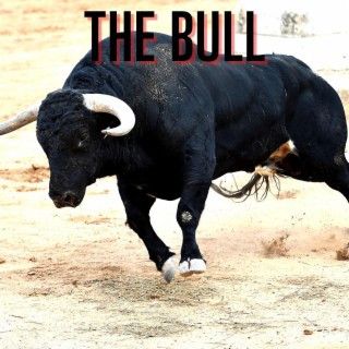 The Bull