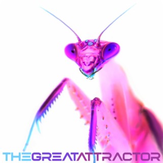 The Great Attractor