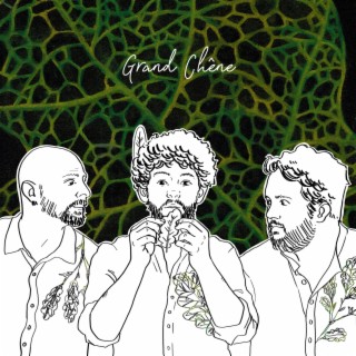 Grand chêne lyrics | Boomplay Music