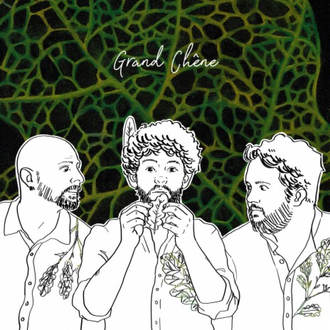 Grand chêne | Boomplay Music