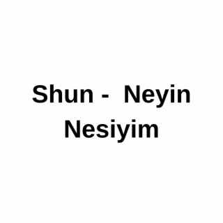 Neyin Nesiyim