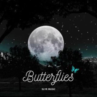 Butterflies lyrics | Boomplay Music