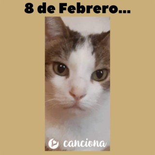 8 de Febrero...