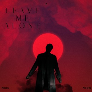 Leave Me Alone lyrics | Boomplay Music