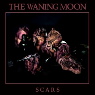 Scars