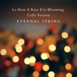 Lo How A Rose E'er Blooming (Cello Version)