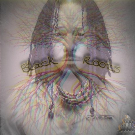 Black Roots | Boomplay Music