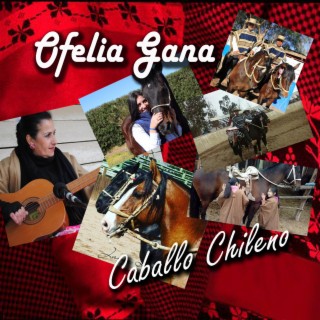 caballo chileno