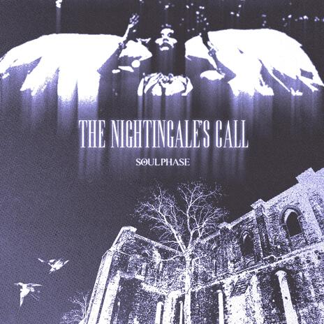 The Nightingale's Call | Boomplay Music