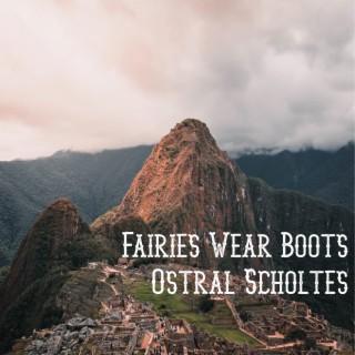 Fairies Wear Boots