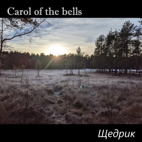 Carol of the bells ft. Mykola Dmytrovych Leontovych & Anna Szilágyi | Boomplay Music
