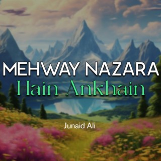 Mehway Nazara Hain Ankhain