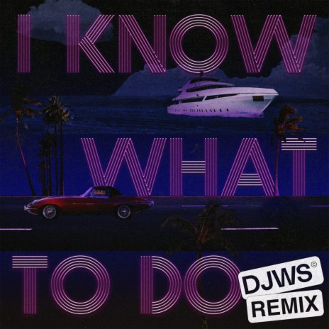 I Know What To Do - DJWS Remix | Boomplay Music