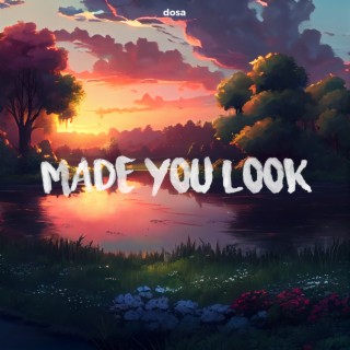 Made You Look