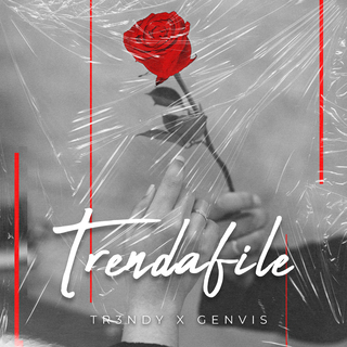 Trendafile (Remix)