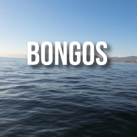 Bongos ft. Annabel Lee & Strvngr | Boomplay Music