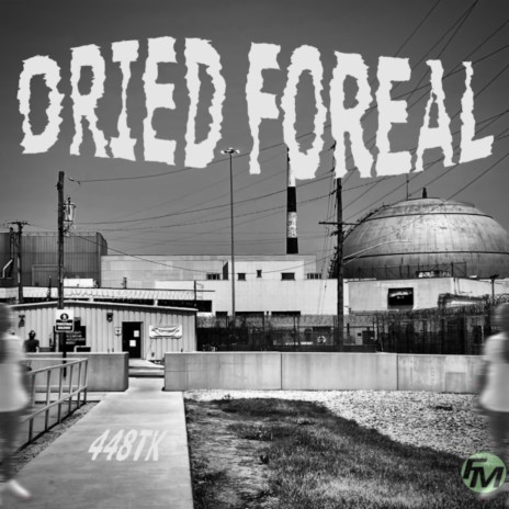 Dried Foreal | Boomplay Music